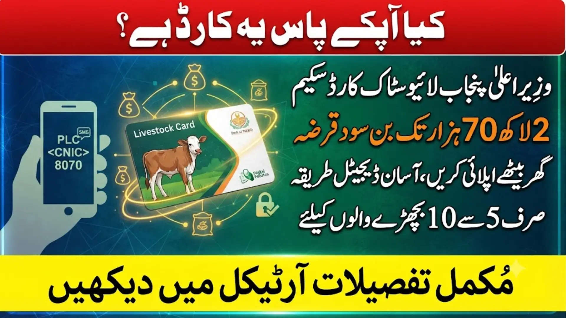 CM Punjab Livestock Card Scheme 2026: Eligibility, Loan Amount & How to Apply