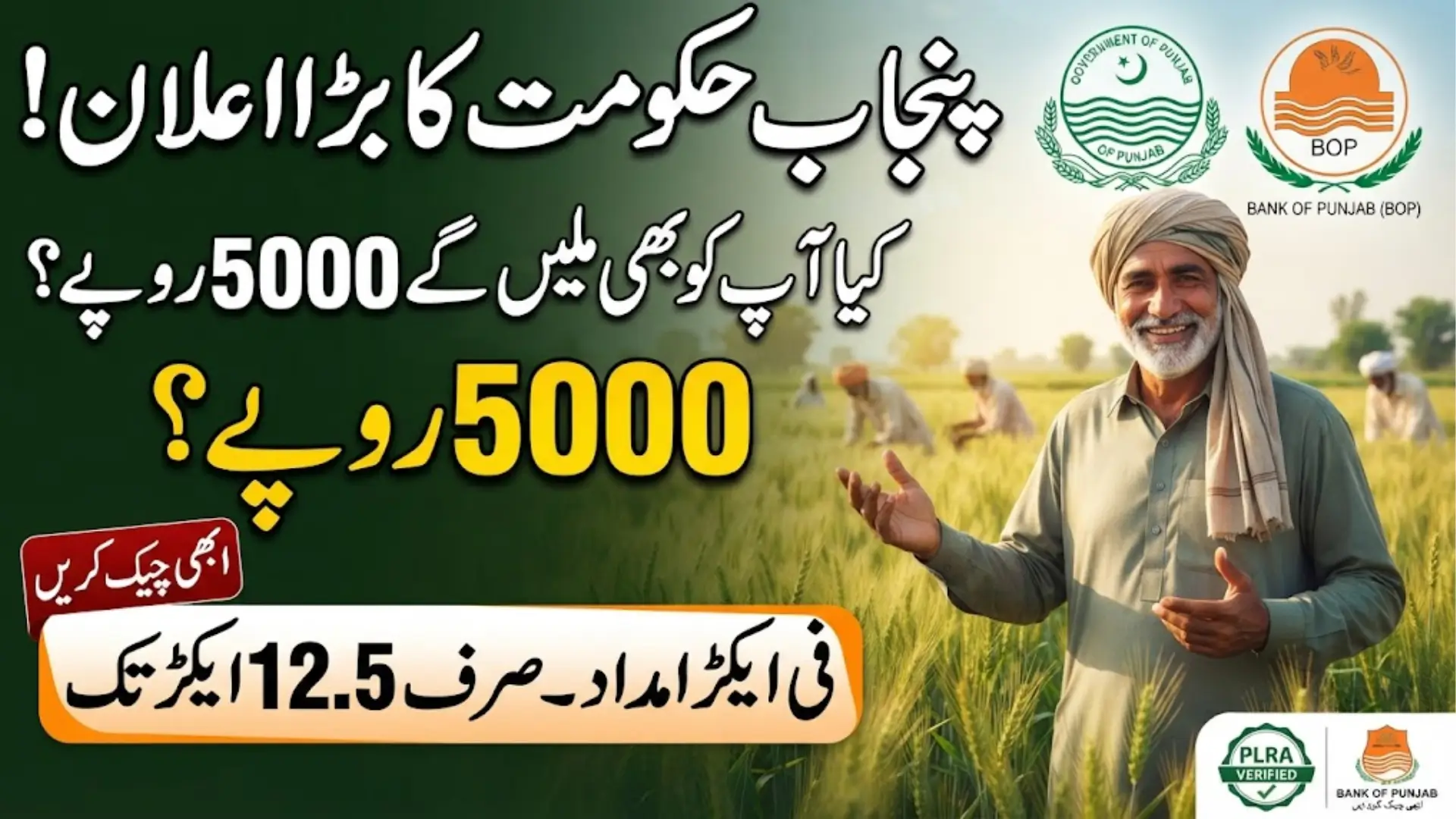 CM Punjab Wheat Support Program 2026: Eligibility, Online Registration, Rs. 5,000 Per Acre Support