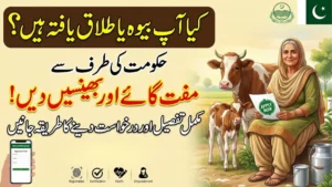CM Punjab Free Livestock Scheme 2026: Eligibility, Online Registration & Required Documents