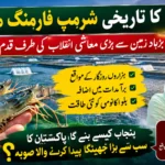 Punjab Shrimp Farming Project 2026: Locations, Investment, Benefits and Latest Updates