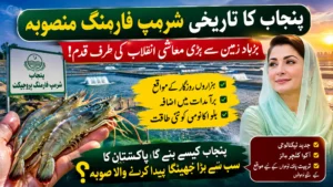 Punjab Shrimp Farming Project 2026: Locations, Investment, Benefits and Latest Updates