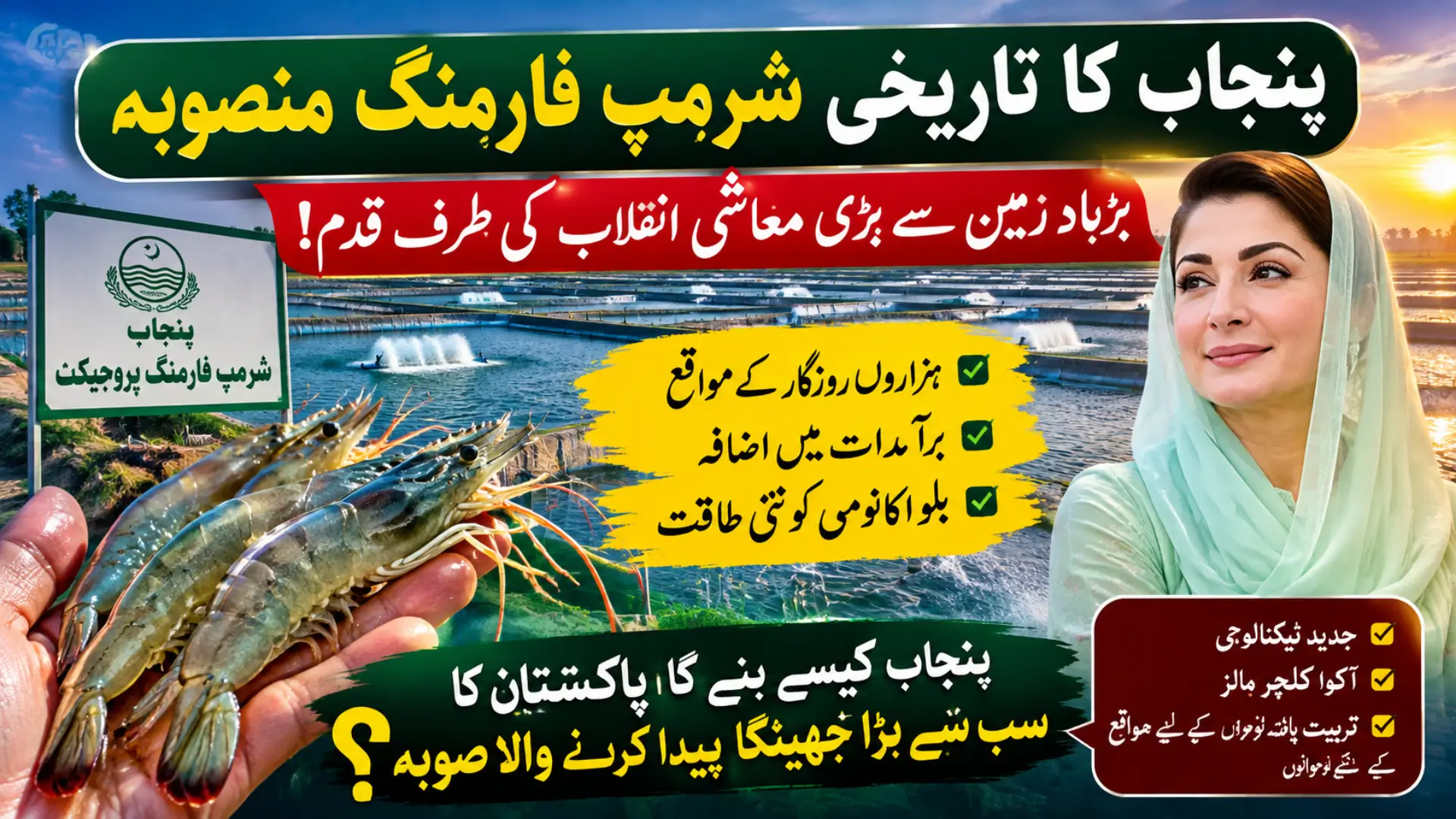Punjab Shrimp Farming Project 2026: Locations, Investment, Benefits and Latest Updates