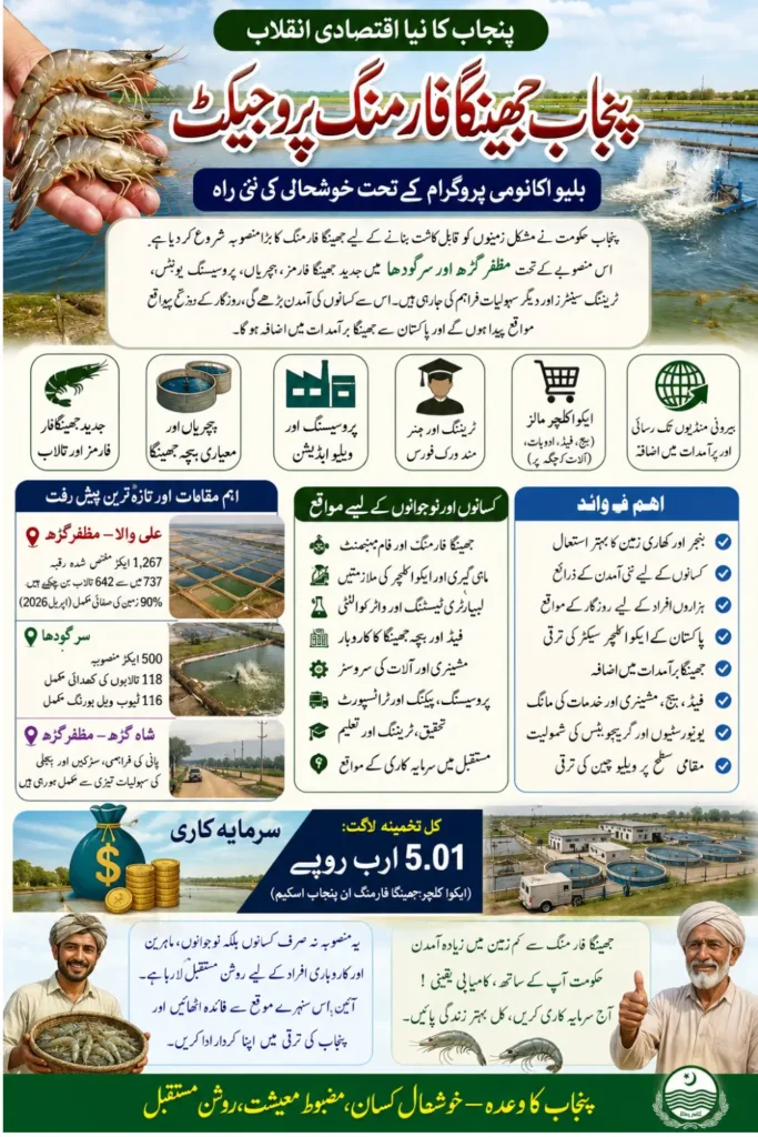 Punjab Shrimp Farming Project 2026: Locations, Investment, Benefits and Latest Updates