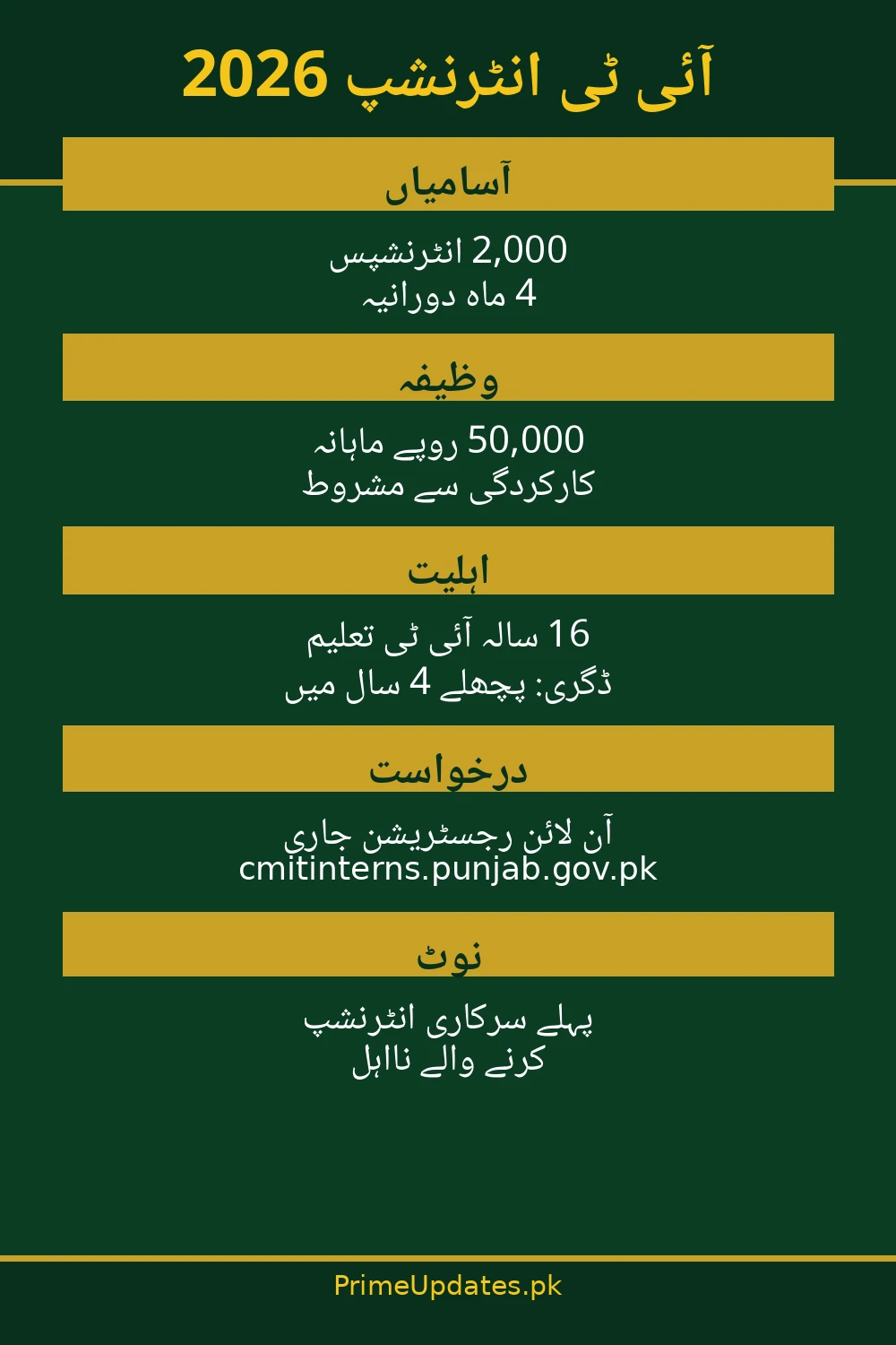CM Punjab IT Internship 2026 — key information in Urdu